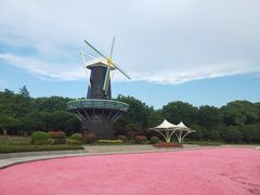 -上海鲜花港