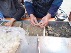-叶氏麻糍(鼓浪屿店)