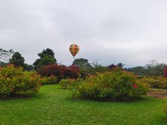 -中国科学院西双版纳热带植物园
