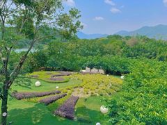 -福建鲤鱼洲酒店