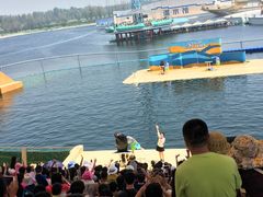 -秦皇岛乐岛海洋王国