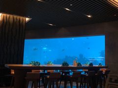 -海棠湾洲际-涛·海底餐厅·美人鱼·自助餐·海底隧道