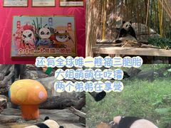 -广州长隆野生动物世界