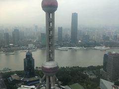 -金轩中餐厅 Jin Xuan(浦东丽思卡尔顿酒店)