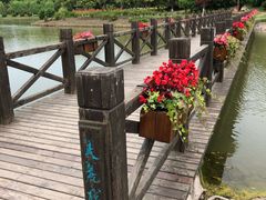 -上海鲜花港