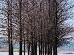 -东钱湖旅游度假区