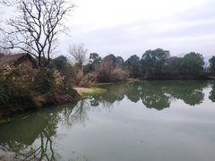 -西溪国家湿地公园