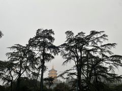 -浙江西子宾馆·瑶园咖啡厅