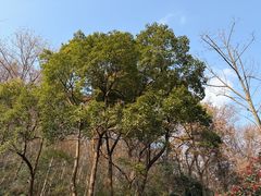 -南山风景名胜区
