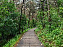 -帽儿山国家森林公园