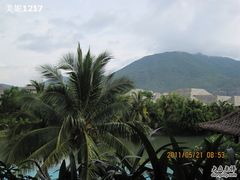 俯视-三亚亚龙湾五号度假别墅酒店