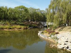 -大兴滨河森林公园