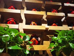 -泥糊破店小酒馆·团建聚餐(南京西路店)