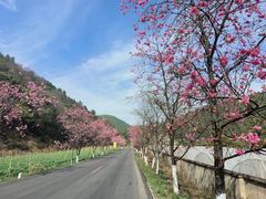 -昆明青龙峡风景区
