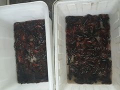 android_upload_pic-四季园农家乐