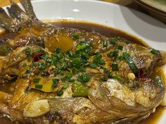 红烧白条鱼-水根饭店