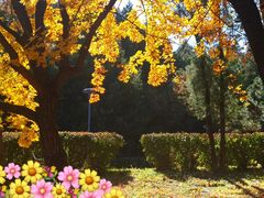 -北京宽沟会议中心