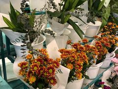 -BoBloom花店(晶耀前滩店)