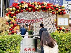 -普拉那啤酒坊Paulaner(凯宾斯基饭店)