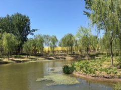 -东郊湿地公园