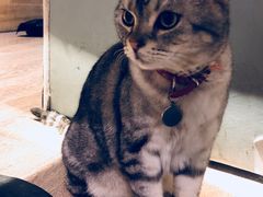 -小时光咖啡馆(开森度假森林店)