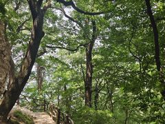 -终南山南五台景区