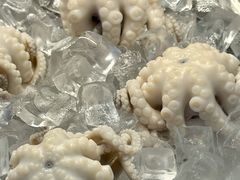 -铭聚章鱼土笋冻(松柏店)