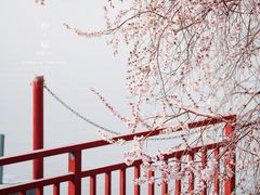 -颐和园