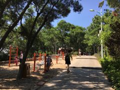 -仙岳公园