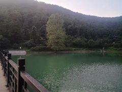 -华庭苑农家乐(旺山店)
