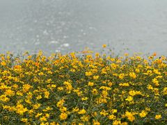 -池州市平天湖风景区