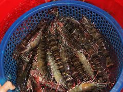 -幸福姐海鲜大排档