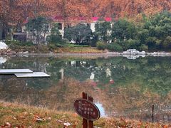 -河南省黄河迎宾馆