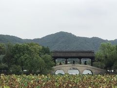 -和茶馆(西溪栖悦城店)