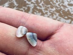 -普陀山风景名胜区-千步大沙