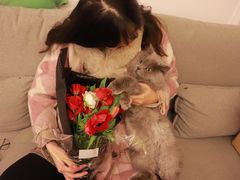 -萌兽医馆·宠物医院·猫骨科(创景店)