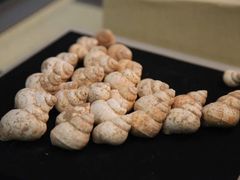 -桂林博物馆