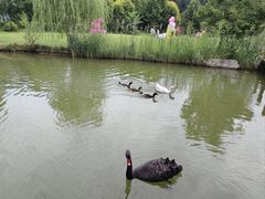 -林栖谷森林康养度假区