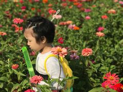 -皇粮浜公园