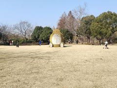 -长兴太湖图影湿地文化园