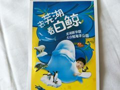 -芜湖新华联大白鲸海洋公园