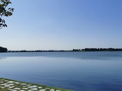 -贡湖湾湿地公园