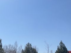 -洛阳市隋唐城遗址植物园
