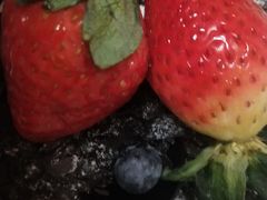 -御品轩(边家村店)