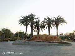 -宝安西湾红树林湿地公园