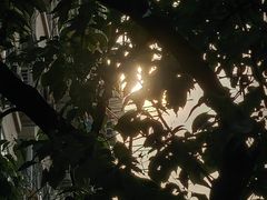 -浙江西子宾馆·瑶园咖啡厅