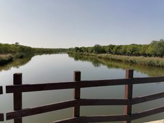 -西青郊野公园
