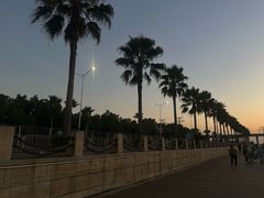 -宝安西湾红树林湿地公园