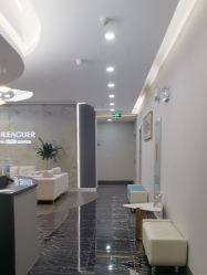 -上海首尔丽格医疗美容医院