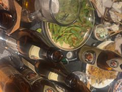 -三杯赤運·中式小酒馆(所城里店)